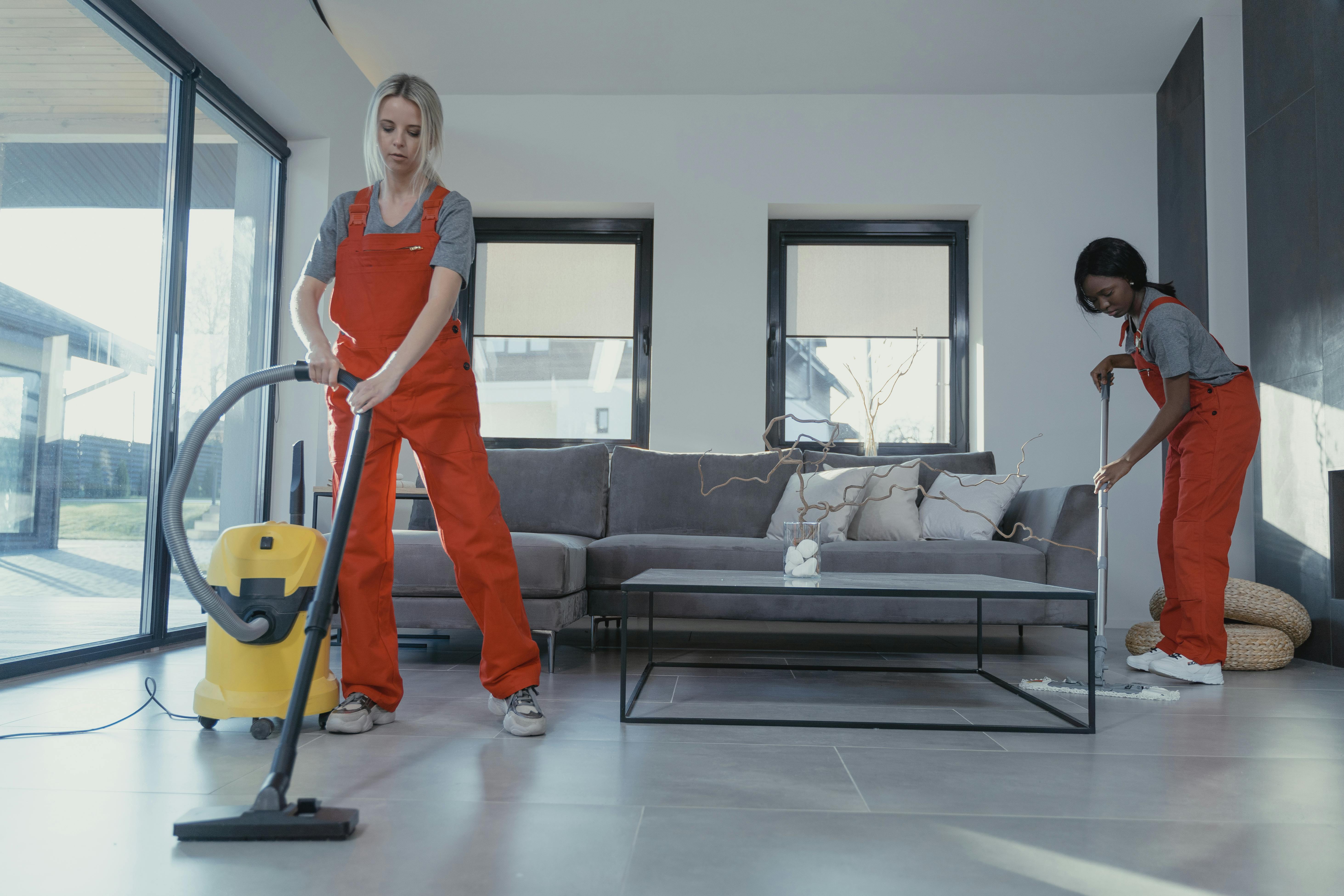 Professional cleaning service 1